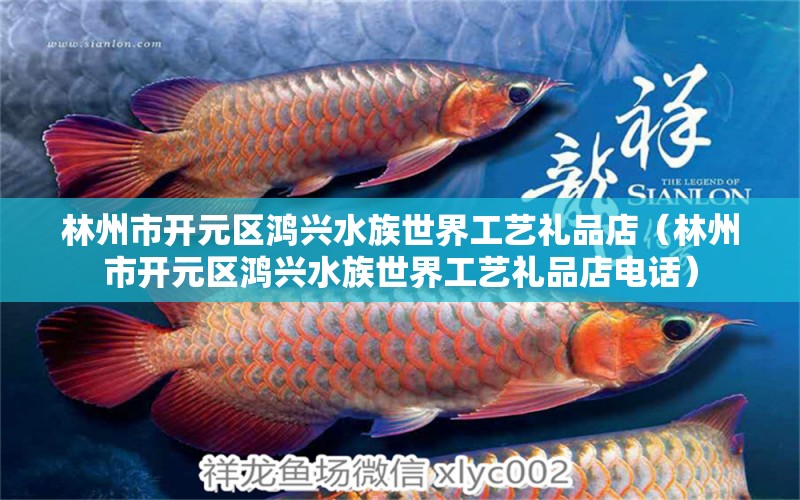 林州市開元區(qū)鴻興水族世界工藝禮品店（林州市開元區(qū)鴻興水族世界工藝禮品店電話） 全國水族館企業(yè)名錄