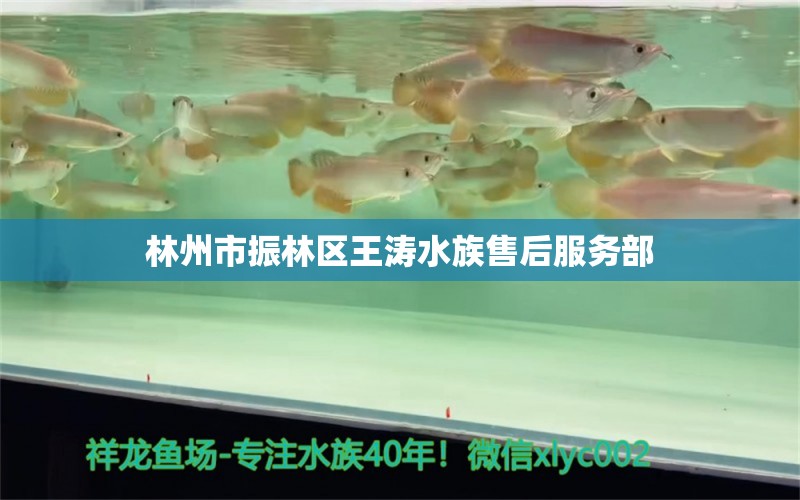 林州市振林區(qū)王濤水族售后服務(wù)部