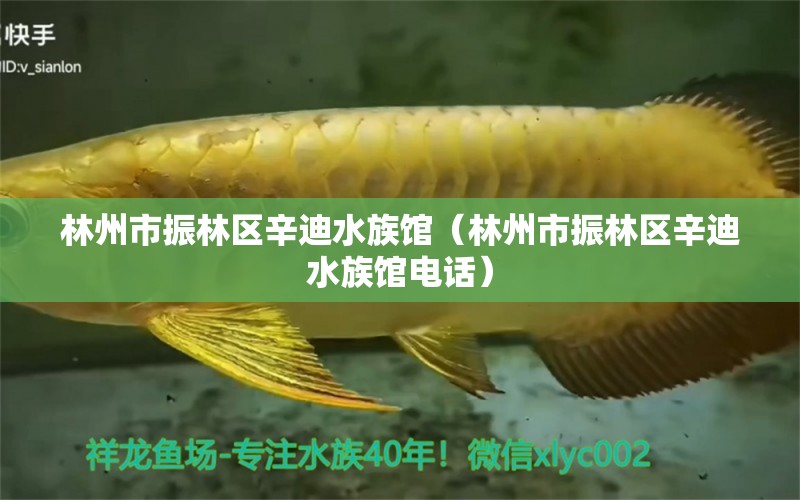 林州市振林區(qū)辛迪水族館（林州市振林區(qū)辛迪水族館電話）