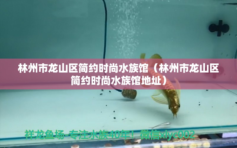 林州市龍山區(qū)簡(jiǎn)約時(shí)尚水族館（林州市龍山區(qū)簡(jiǎn)約時(shí)尚水族館地址） 全國(guó)水族館企業(yè)名錄