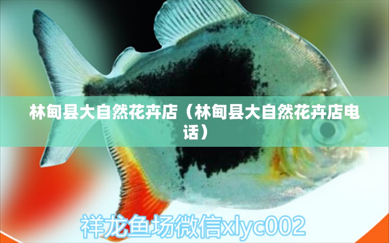 林甸縣大自然花卉店（林甸縣大自然花卉店電話） 全國水族館企業(yè)名錄