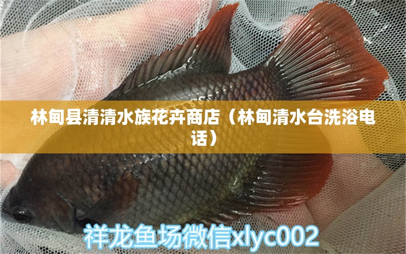 林甸縣清清水族花卉商店（林甸清水臺(tái)洗浴電話）