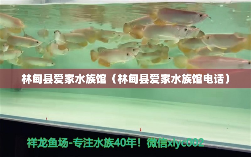 林甸縣愛家水族館（林甸縣愛家水族館電話）