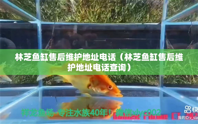 林芝魚缸售后維護(hù)地址電話（林芝魚缸售后維護(hù)地址電話查詢）