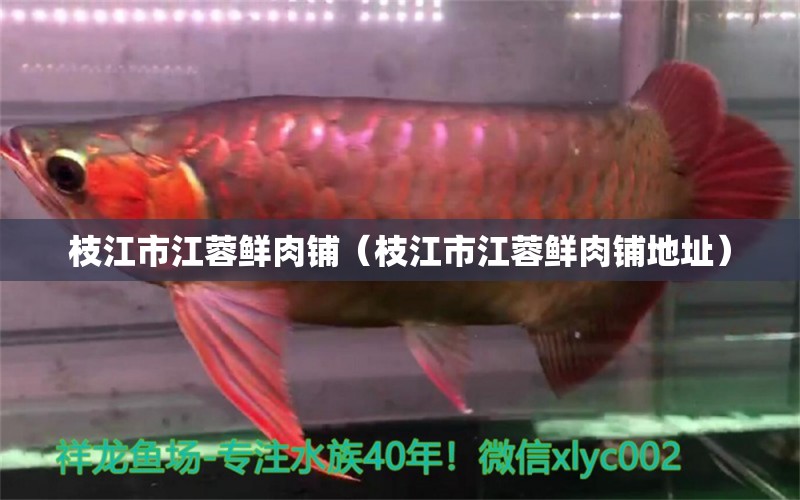 枝江市江蓉鮮肉鋪（枝江市江蓉鮮肉鋪地址） 全國水族館企業(yè)名錄