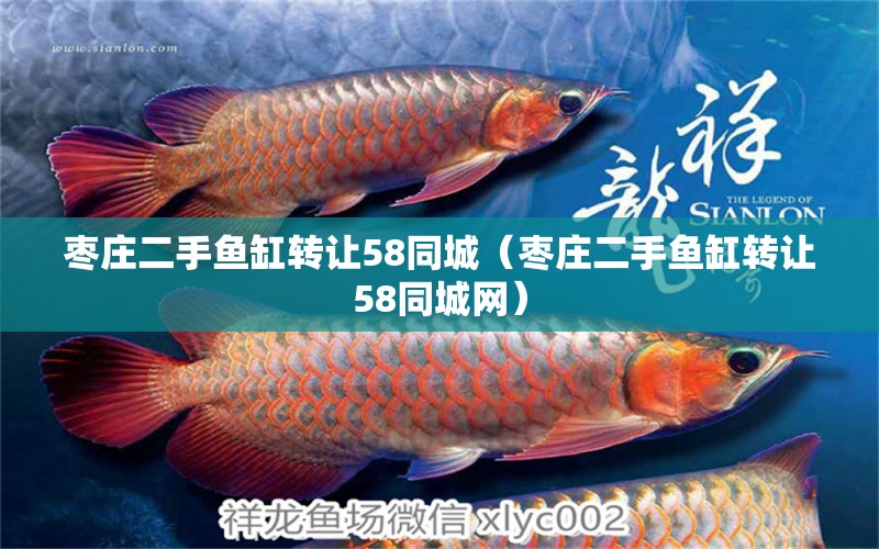 棗莊二手魚缸轉(zhuǎn)讓58同城（棗莊二手魚缸轉(zhuǎn)讓58同城網(wǎng)）