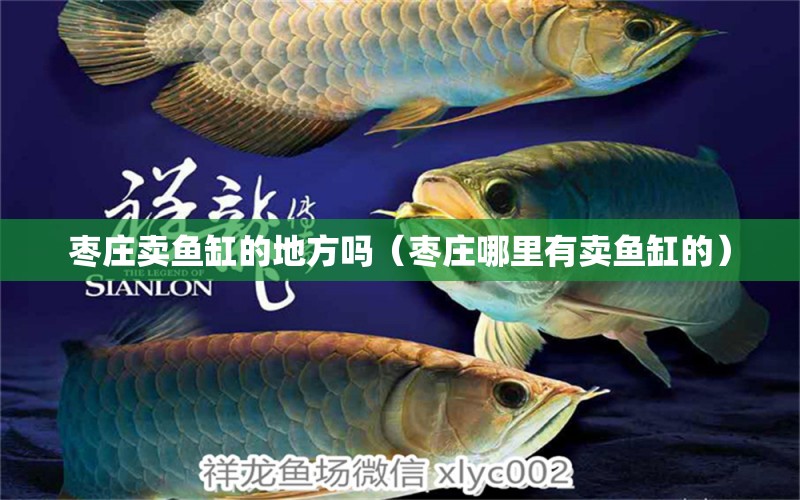 棗莊賣魚缸的地方嗎（棗莊哪里有賣魚缸的）