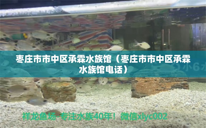 棗莊市市中區(qū)承霖水族館（棗莊市市中區(qū)承霖水族館電話）