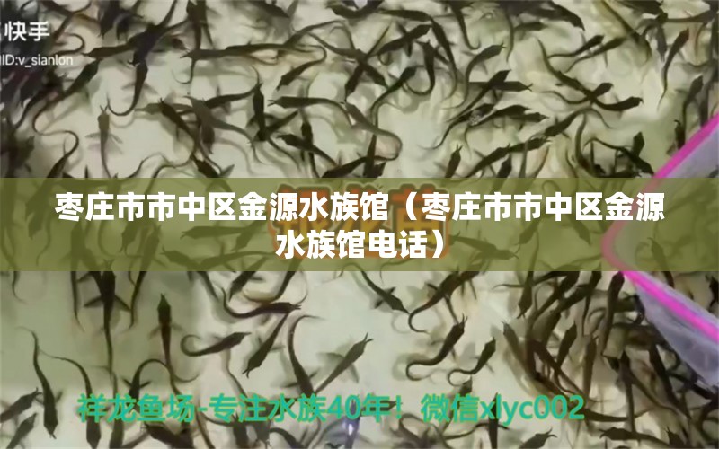 棗莊市市中區(qū)金源水族館（棗莊市市中區(qū)金源水族館電話） 全國水族館企業(yè)名錄