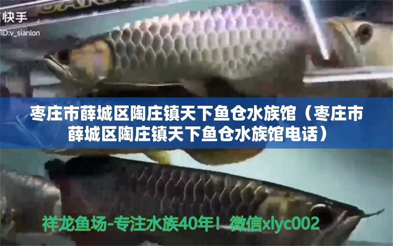 棗莊市薛城區(qū)陶莊鎮(zhèn)天下魚(yú)倉(cāng)水族館（棗莊市薛城區(qū)陶莊鎮(zhèn)天下魚(yú)倉(cāng)水族館電話）