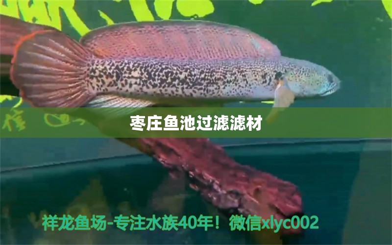 棗莊魚池過濾濾材