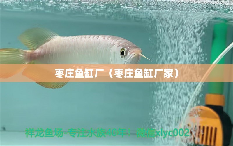 棗莊魚缸廠（棗莊魚缸廠家）