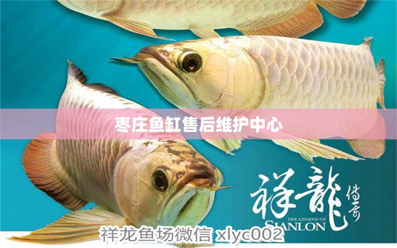 棗莊魚缸售后維護(hù)中心