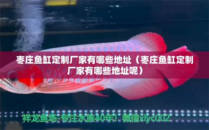 棗莊魚缸定制廠家有哪些地址（棗莊魚缸定制廠家有哪些地址呢）