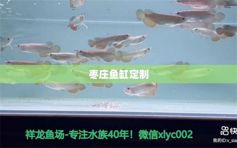 棗莊魚缸定制