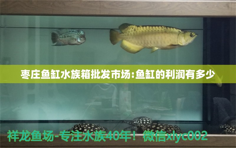 棗莊魚(yú)缸水族箱批發(fā)市場(chǎng):魚(yú)缸的利潤(rùn)有多少 魚(yú)缸/水族箱 第1張