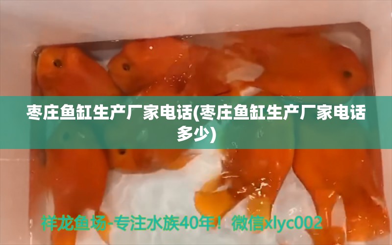 棗莊魚缸生產(chǎn)廠家電話(棗莊魚缸生產(chǎn)廠家電話多少) 眼斑魚