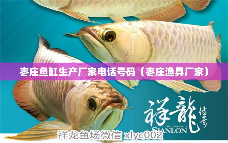 棗莊魚缸生產(chǎn)廠家電話號碼（棗莊漁具廠家）