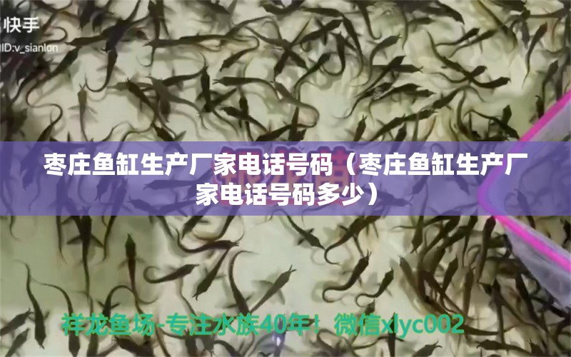 棗莊魚缸生產(chǎn)廠家電話號(hào)碼（棗莊魚缸生產(chǎn)廠家電話號(hào)碼多少）