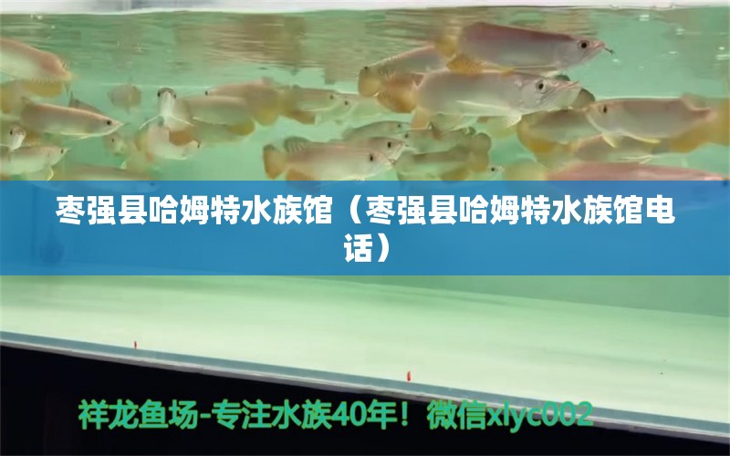 棗強(qiáng)縣哈姆特水族館（棗強(qiáng)縣哈姆特水族館電話）