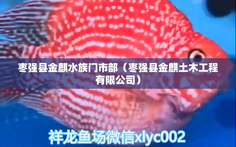 棗強縣金麒水族門市部（棗強縣金麒土木工程有限公司）