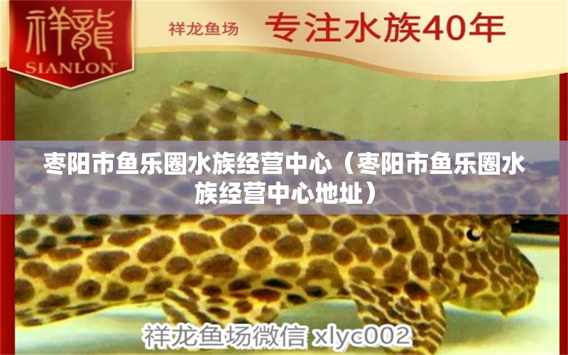 棗陽市魚樂圈水族經(jīng)營中心（棗陽市魚樂圈水族經(jīng)營中心地址） 全國水族館企業(yè)名錄