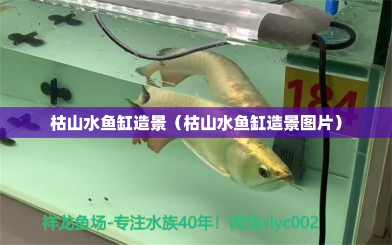 枯山水魚(yú)缸造景（枯山水魚(yú)缸造景圖片） 祥龍魚(yú)場(chǎng)