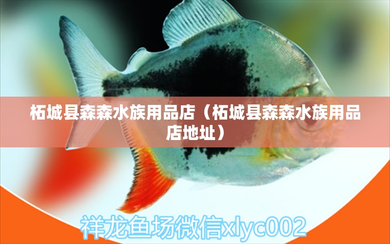 柘城縣森森水族用品店（柘城縣森森水族用品店地址） 水族用品