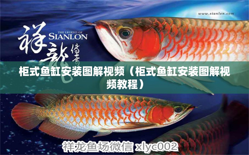 柜式魚(yú)缸安裝圖解視頻（柜式魚(yú)缸安裝圖解視頻教程）