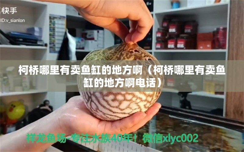 柯橋哪里有賣魚缸的地方?。聵蚰睦镉匈u魚缸的地方啊電話）