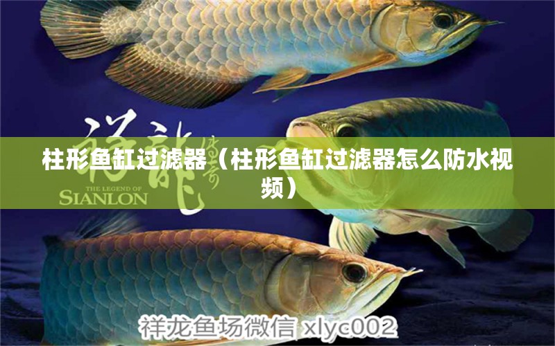 柱形魚缸過濾器（柱形魚缸過濾器怎么防水視頻）