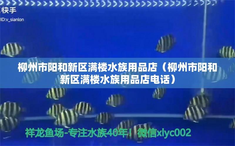 柳州市陽和新區(qū)滿樓水族用品店（柳州市陽和新區(qū)滿樓水族用品店電話） 水族用品