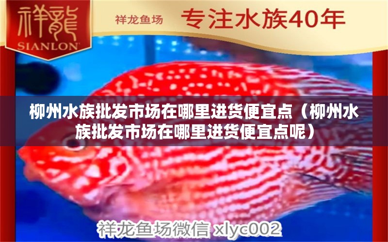 柳州水族批發(fā)市場在哪里進(jìn)貨便宜點(diǎn)（柳州水族批發(fā)市場在哪里進(jìn)貨便宜點(diǎn)呢）