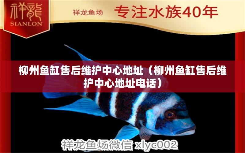 柳州魚缸售后維護(hù)中心地址（柳州魚缸售后維護(hù)中心地址電話） 其他品牌魚缸