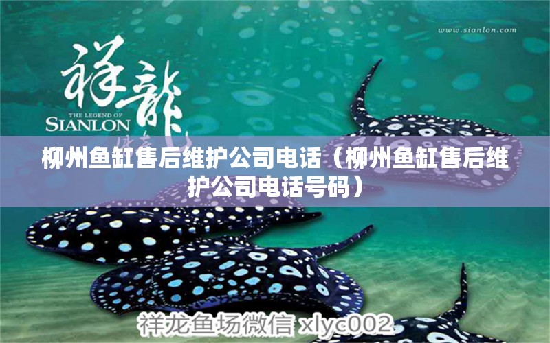 柳州魚缸售后維護公司電話（柳州魚缸售后維護公司電話號碼）