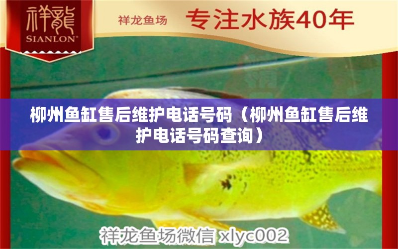 柳州魚缸售后維護(hù)電話號碼（柳州魚缸售后維護(hù)電話號碼查詢） 其他品牌魚缸