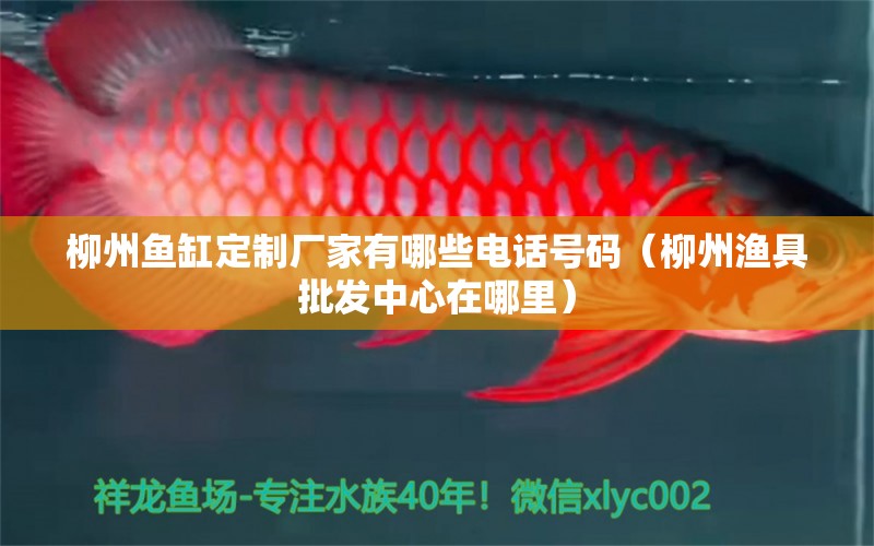 柳州魚(yú)缸定制廠家有哪些電話號(hào)碼（柳州漁具批發(fā)中心在哪里）