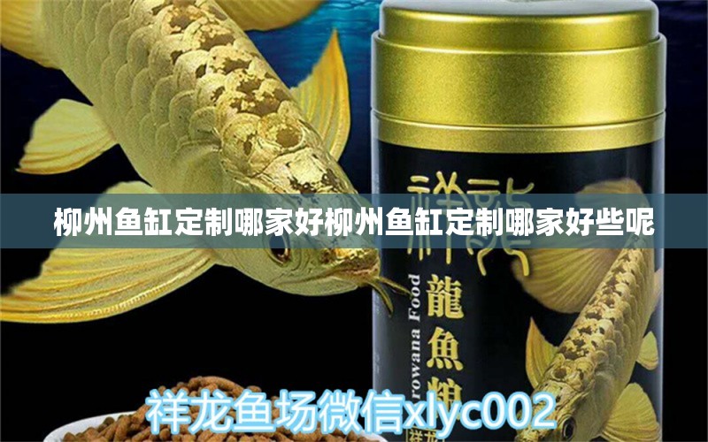 柳州魚缸定制哪家好柳州魚缸定制哪家好些呢 海水魚（海水魚批發(fā)）