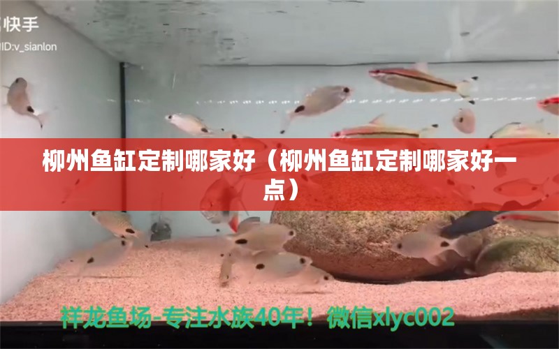 柳州魚缸定制哪家好（柳州魚缸定制哪家好一點）