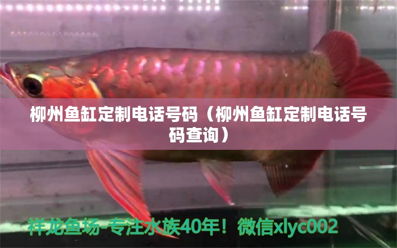 柳州魚缸定制電話號(hào)碼（柳州魚缸定制電話號(hào)碼查詢）