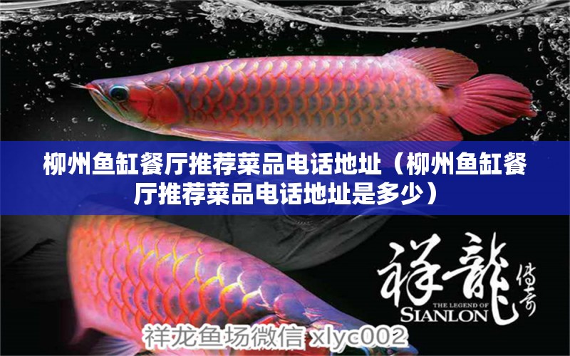 柳州魚(yú)缸餐廳推薦菜品電話地址（柳州魚(yú)缸餐廳推薦菜品電話地址是多少）