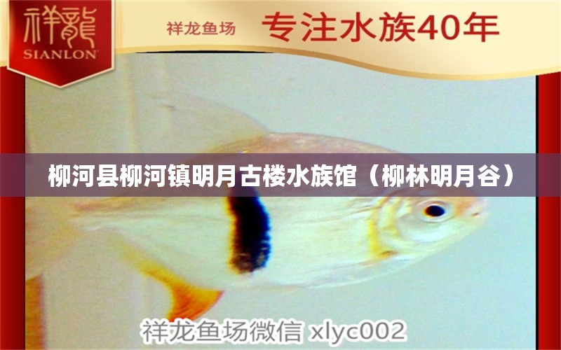 柳河縣柳河鎮(zhèn)明月古樓水族館（柳林明月谷）