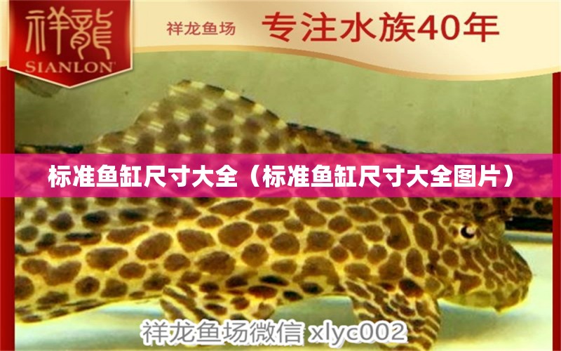 標準魚缸尺寸大全（標準魚缸尺寸大全圖片） 藍帆三間魚