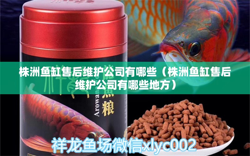 株洲魚缸售后維護公司有哪些（株洲魚缸售后維護公司有哪些地方） 其他品牌魚缸