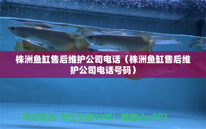 株洲魚缸售后維護(hù)公司電話（株洲魚缸售后維護(hù)公司電話號碼） 其他品牌魚缸