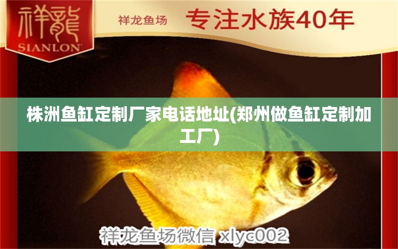 株洲魚缸定制廠家電話地址(鄭州做魚缸定制加工廠) 蘇虎