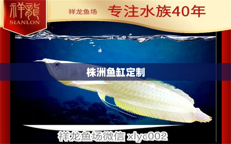 株洲魚缸定制