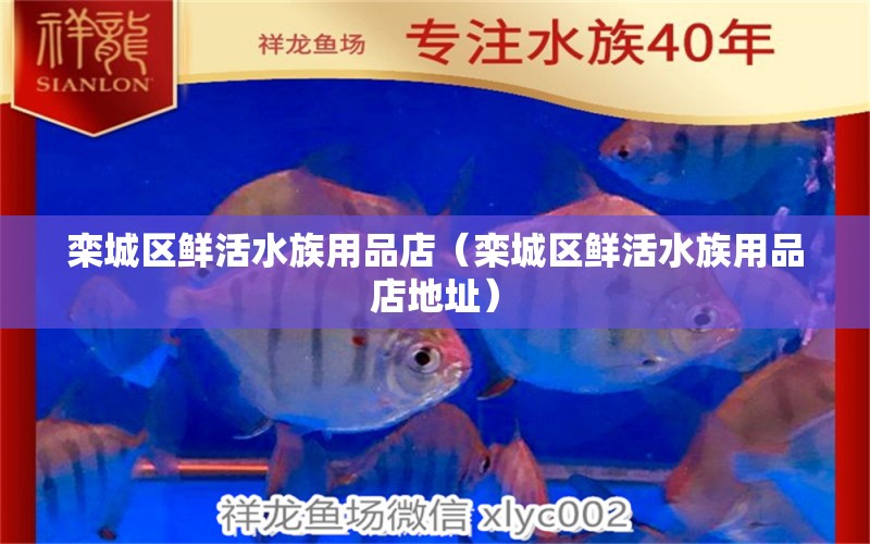 欒城區(qū)鮮活水族用品店（欒城區(qū)鮮活水族用品店地址） 水族用品