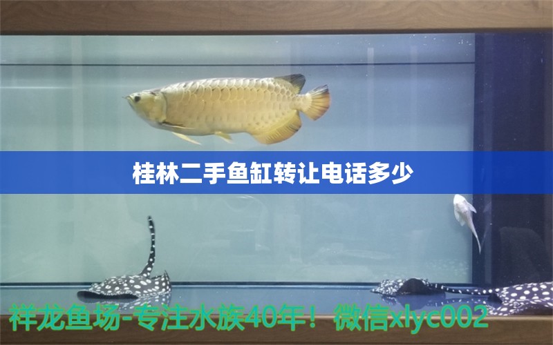 桂林二手魚缸轉讓電話多少  九鼎魚缸