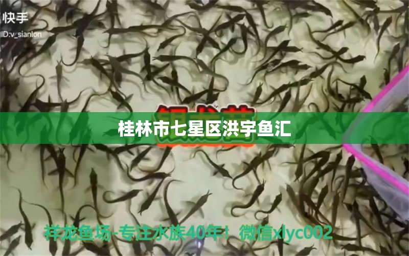 桂林市七星區(qū)洪宇魚(yú)匯